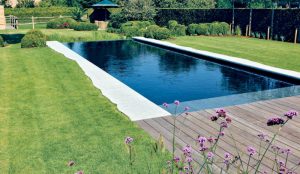 Read more about the article Managing Timelines Delays with Pool Contractor