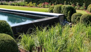 Read more about the article Pool Building Mistakes to Avoid