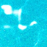Slider_Gelcoat_Color-CrystalBlue